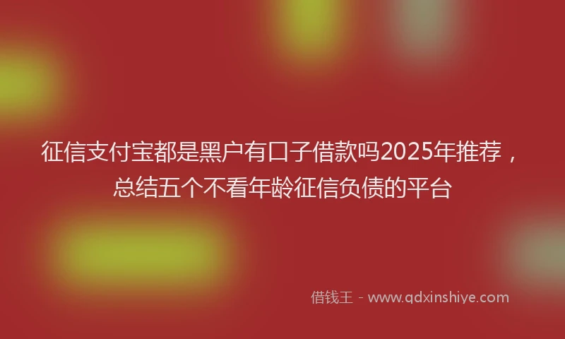 征信支付宝都是黑户有口子借款吗2025年推荐，总结五个不看年龄征信负债的平台