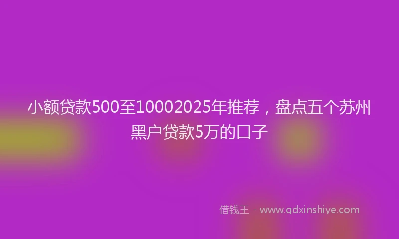 小额贷款500至10002025年推荐，盘点五个苏州黑户贷款5万的口子
