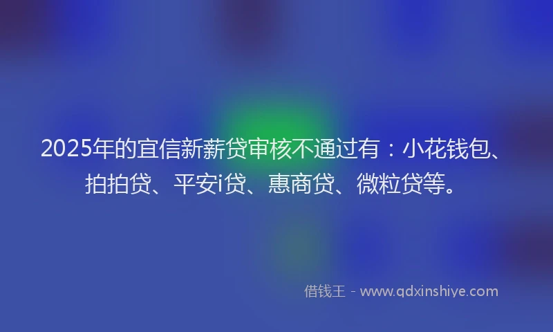2025年的宜信新薪贷审核不通过有：小花钱包、拍拍贷、平安i贷、惠商贷、微粒贷等。