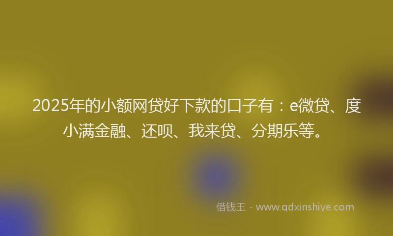 2025年的小额网贷好下款的口子有：e微贷、度小满金融、还呗、我来贷、分期乐等。