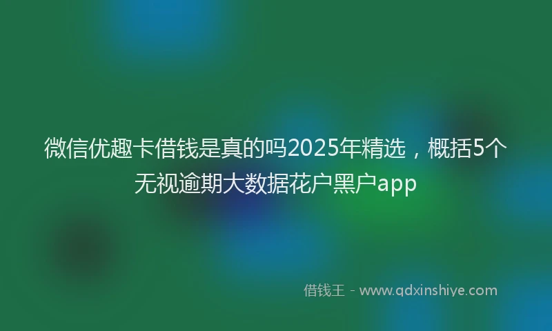 微信优趣卡借钱是真的吗2025年精选，概括5个无视逾期大数据花户黑户app