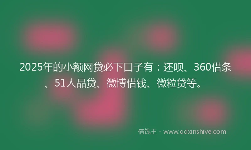 2025年的小额网贷必下口子有：还呗、360借条、51人品贷、微博借钱、微粒贷等。