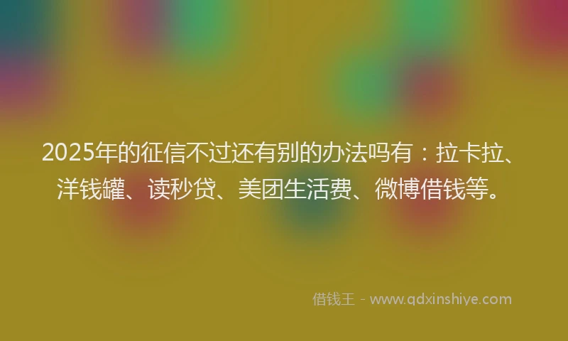 2025年的征信不过还有别的办法吗有：拉卡拉、洋钱罐、读秒贷、美团生活费、微博借钱等。