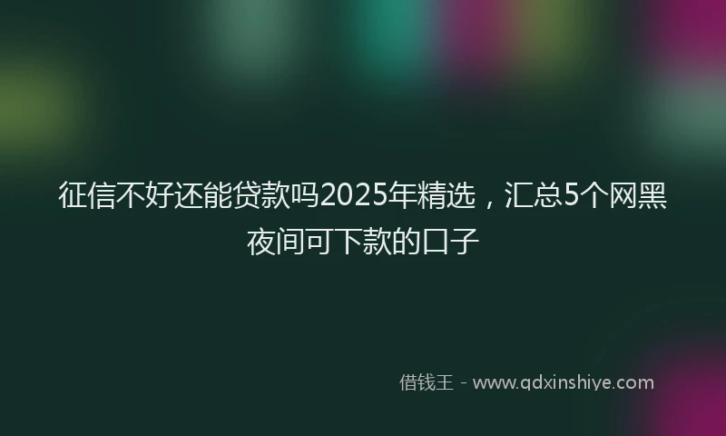征信不好还能贷款吗2025年精选，汇总5个网黑夜间可下款的口子