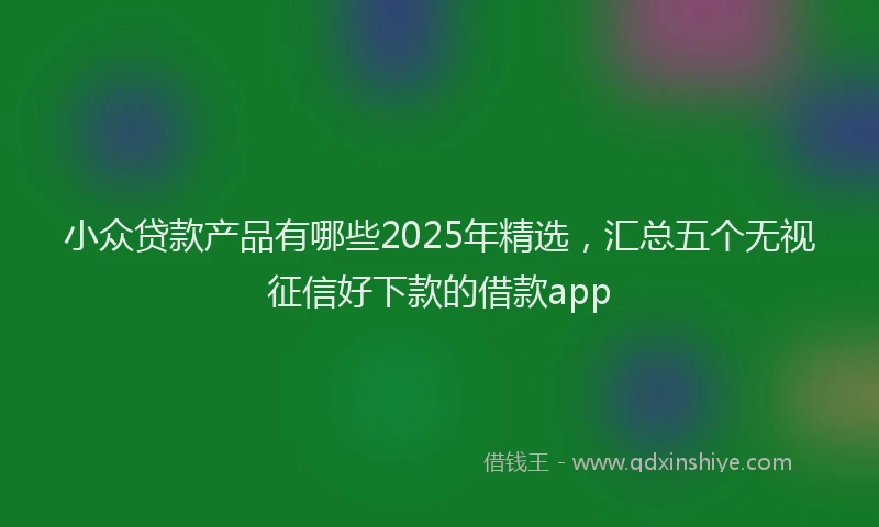 小众贷款产品有哪些2025年精选，汇总五个无视征信好下款的借款app