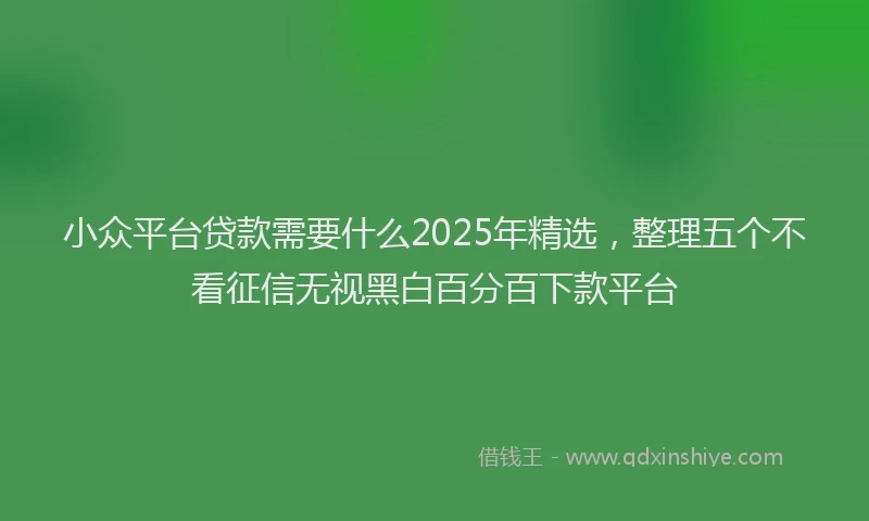小众平台贷款需要什么2025年精选，整理五个不看征信无视黑白百分百下款平台