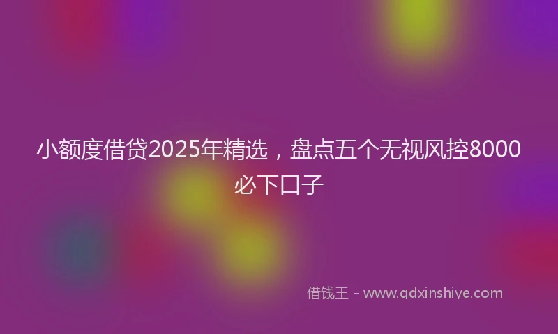小额度借贷2025年精选，盘点五个无视风控8000必下口子