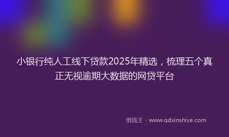 小银行纯人工线下贷款2025年精选，梳理五个真正无视逾期大数据的网贷平台