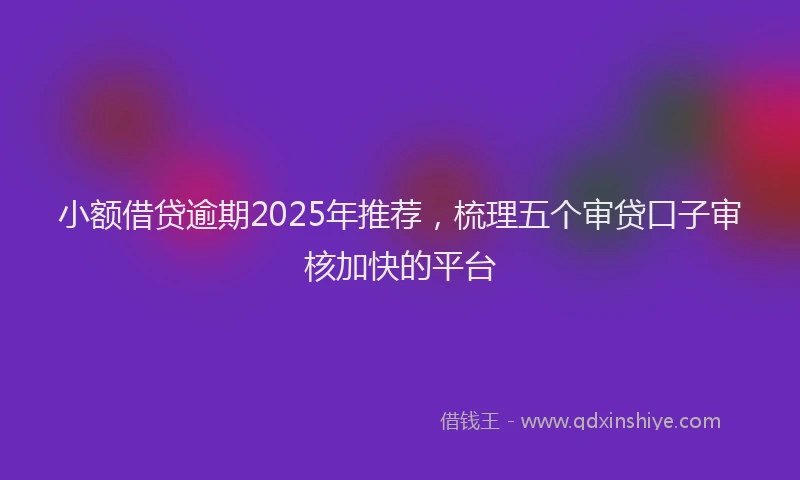 小额借贷逾期2025年推荐，梳理五个审贷口子审核加快的平台