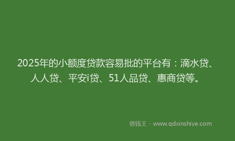 2025年的小额度贷款容易批的平台有：滴水贷、人人贷、平安i贷、51人品贷、惠商贷等。