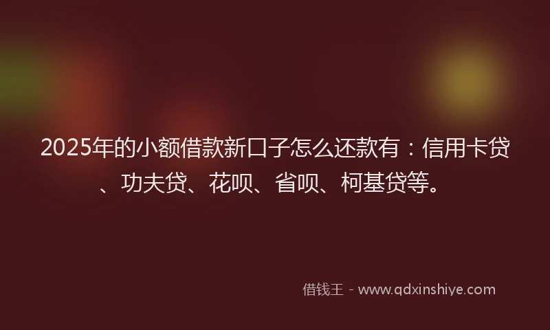 2025年的小额借款新口子怎么还款有：信用卡贷、功夫贷、花呗、省呗、柯基贷等。