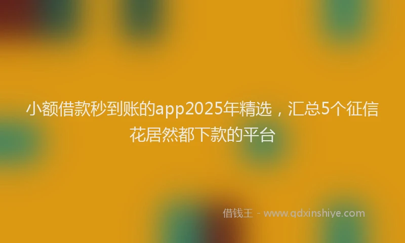 小额借款秒到账的app2025年精选，汇总5个征信花居然都下款的平台