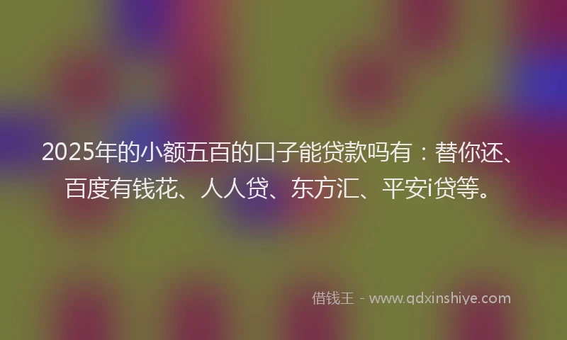 2025年的小额五百的口子能贷款吗有：替你还、百度有钱花、人人贷、东方汇、平安i贷等。