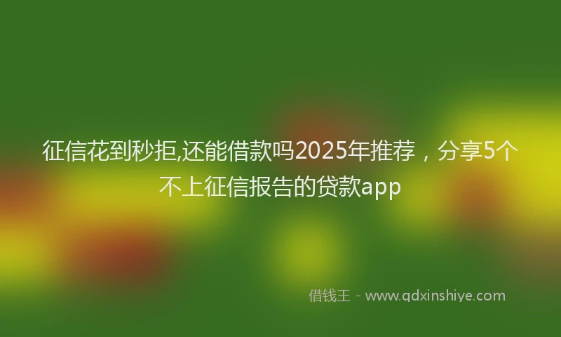 征信花到秒拒,还能借款吗2025年推荐，分享5个不上征信报告的贷款app