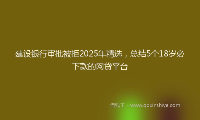 建设银行审批被拒2025年精选，总结5个18岁必下款的网贷平台