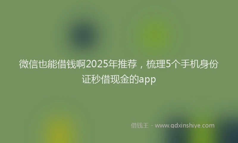 微信也能借钱啊2025年推荐，梳理5个手机身份证秒借现金的app