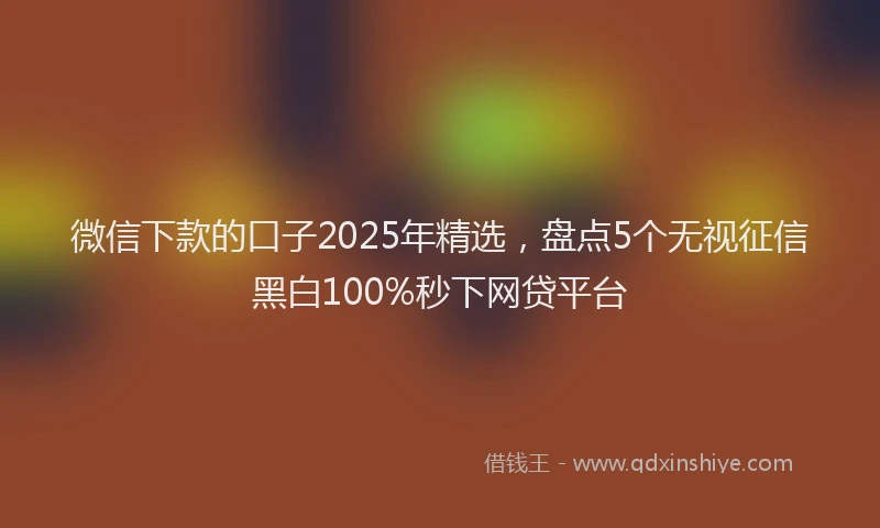 微信下款的口子2025年精选，盘点5个无视征信黑白100%秒下网贷平台