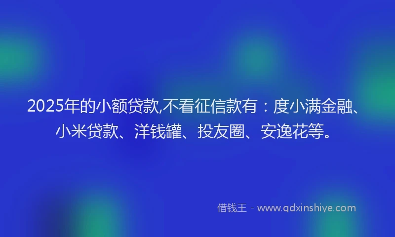2025年的小额贷款,不看征信款有：度小满金融、小米贷款、洋钱罐、投友圈、安逸花等。