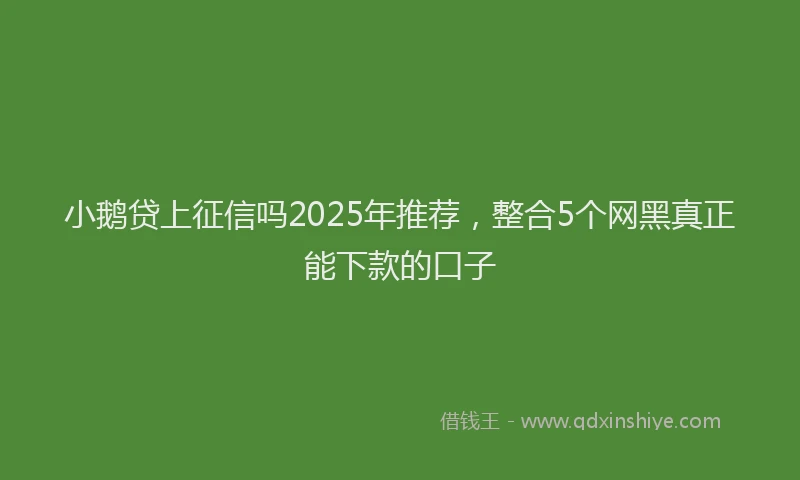 小鹅贷上征信吗2025年推荐，整合5个网黑真正能下款的口子