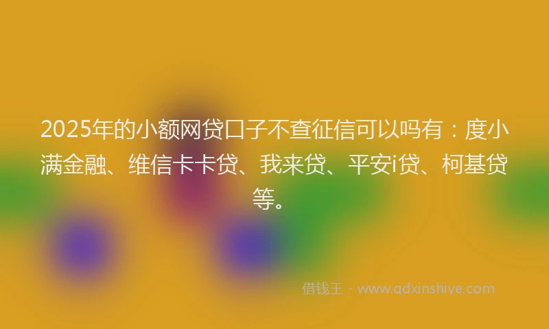 2025年的小额网贷口子不查征信可以吗有：度小满金融、维信卡卡贷、我来贷、平安i贷、柯基贷等。