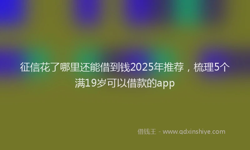 征信花了哪里还能借到钱2025年推荐，梳理5个满19岁可以借款的app