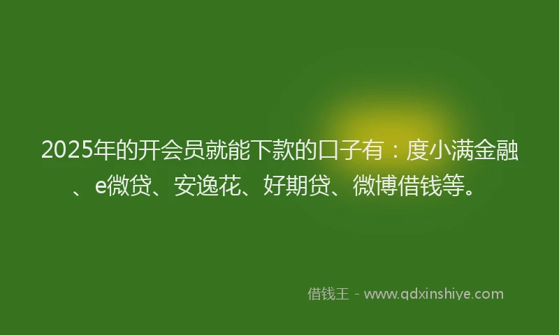 2025年的开会员就能下款的口子有：度小满金融、e微贷、安逸花、好期贷、微博借钱等。