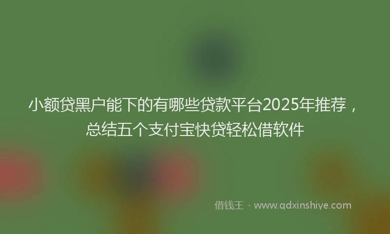 小额贷黑户能下的有哪些贷款平台2025年推荐，总结五个支付宝快贷轻松借软件