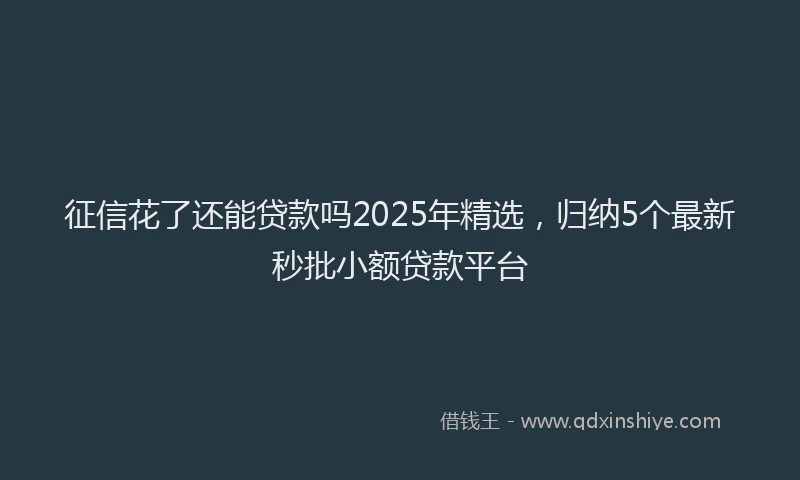 征信花了还能贷款吗2025年精选，归纳5个最新秒批小额贷款平台