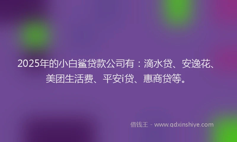 2025年的小白鲨贷款公司有：滴水贷、安逸花、美团生活费、平安i贷、惠商贷等。