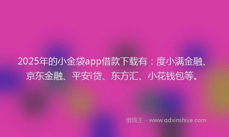 2025年的小金袋app借款下载有：度小满金融、京东金融、平安i贷、东方汇、小花钱包等。