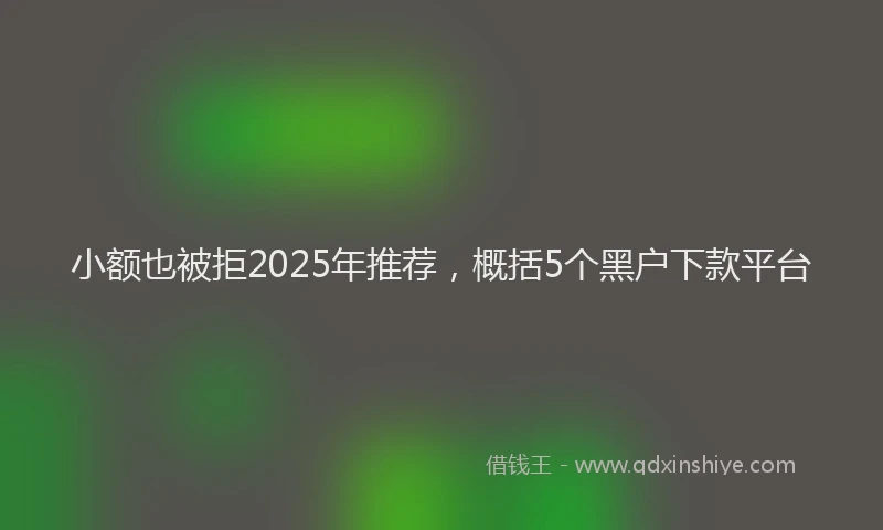 小额也被拒2025年推荐，概括5个黑户下款平台