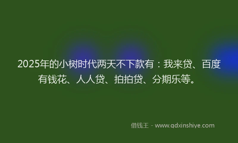 2025年的小树时代两天不下款有：我来贷、百度有钱花、人人贷、拍拍贷、分期乐等。