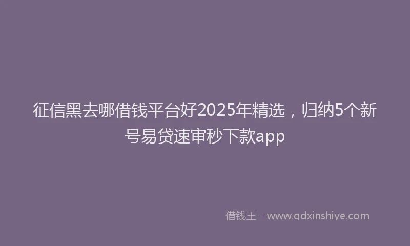 征信黑去哪借钱平台好2025年精选，归纳5个新号易贷速审秒下款app
