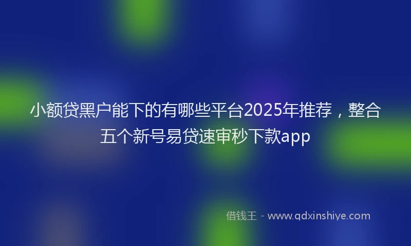 小额贷黑户能下的有哪些平台2025年推荐，整合五个新号易贷速审秒下款app