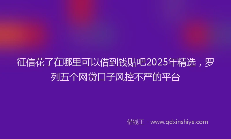 征信花了在哪里可以借到钱贴吧2025年精选，罗列五个网贷口子风控不严的平台