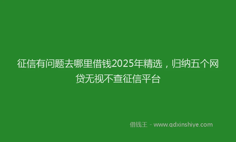 征信有问题去哪里借钱2025年精选，归纳五个网贷无视不查征信平台