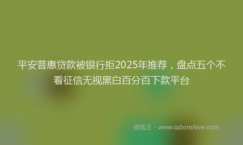平安普惠贷款被银行拒2025年推荐，盘点五个不看征信无视黑白百分百下款平台