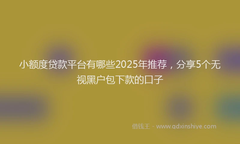 小额度贷款平台有哪些2025年推荐，分享5个无视黑户包下款的口子