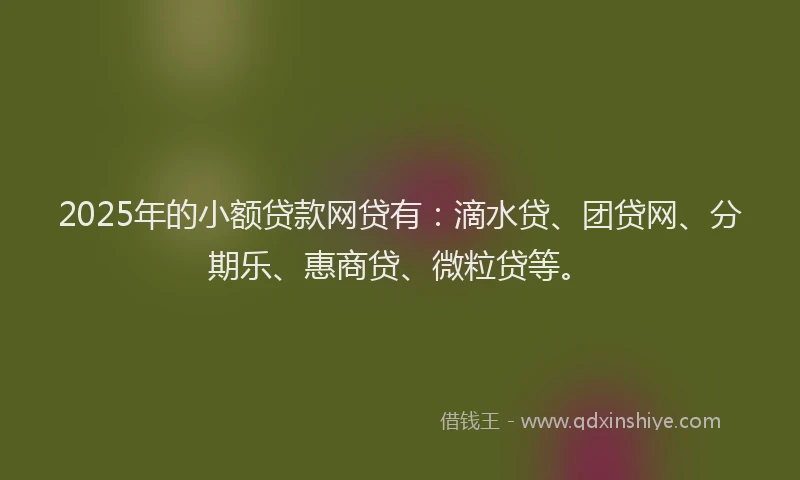 2025年的小额贷款网贷有：滴水贷、团贷网、分期乐、惠商贷、微粒贷等。
