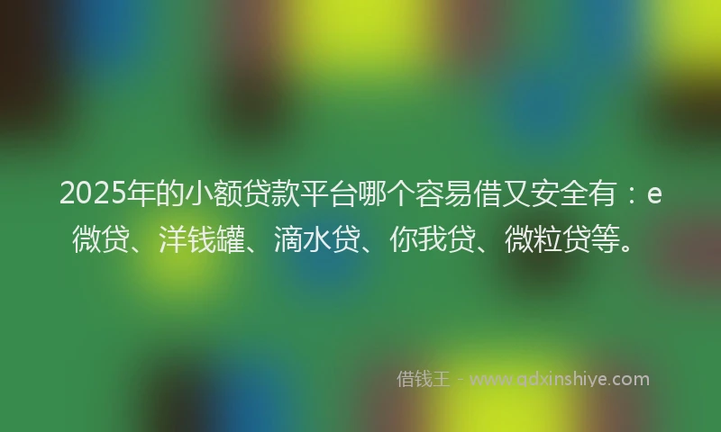 2025年的小额贷款平台哪个容易借又安全有：e微贷、洋钱罐、滴水贷、你我贷、微粒贷等。
