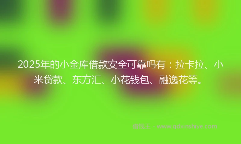 2025年的小金库借款安全可靠吗有：拉卡拉、小米贷款、东方汇、小花钱包、融逸花等。