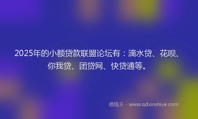 2025年的小额贷款联盟论坛有：滴水贷、花呗、你我贷、团贷网、快贷通等。