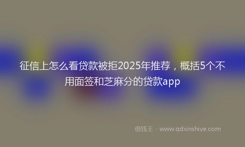 征信上怎么看贷款被拒2025年推荐，概括5个不用面签和芝麻分的贷款app