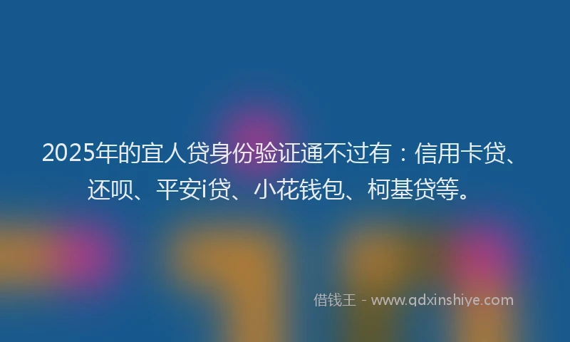 2025年的宜人贷身份验证通不过有：信用卡贷、还呗、平安i贷、小花钱包、柯基贷等。