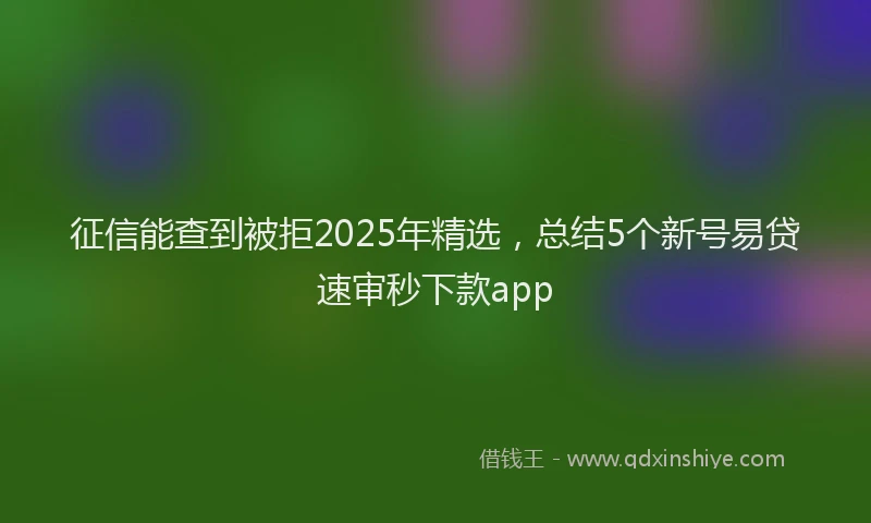 征信能查到被拒2025年精选，总结5个新号易贷速审秒下款app