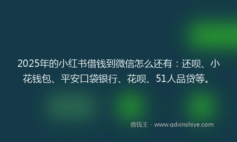 2025年的小红书借钱到微信怎么还有：还呗、小花钱包、平安口袋银行、花呗、51人品贷等。