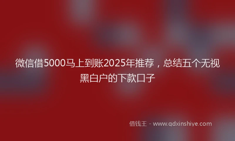 微信借5000马上到账2025年推荐，总结五个无视黑白户的下款口子