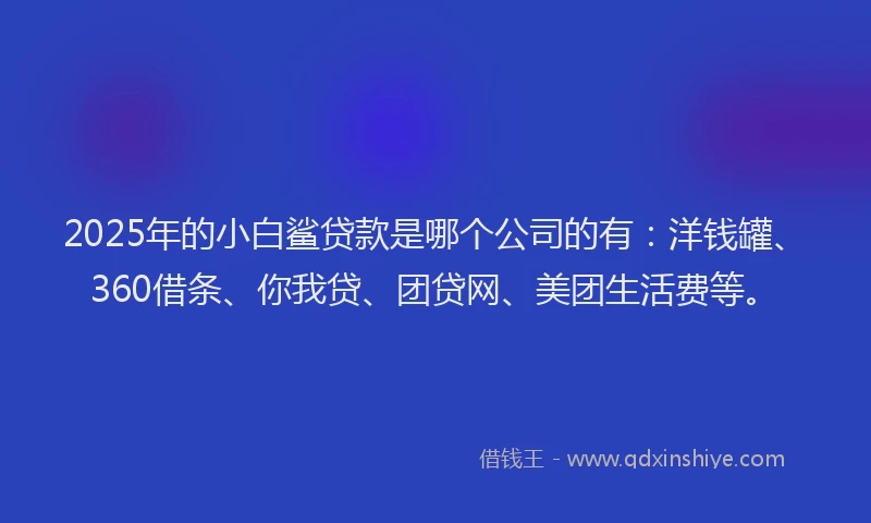 2025年的小白鲨贷款是哪个公司的有：洋钱罐、360借条、你我贷、团贷网、美团生活费等。