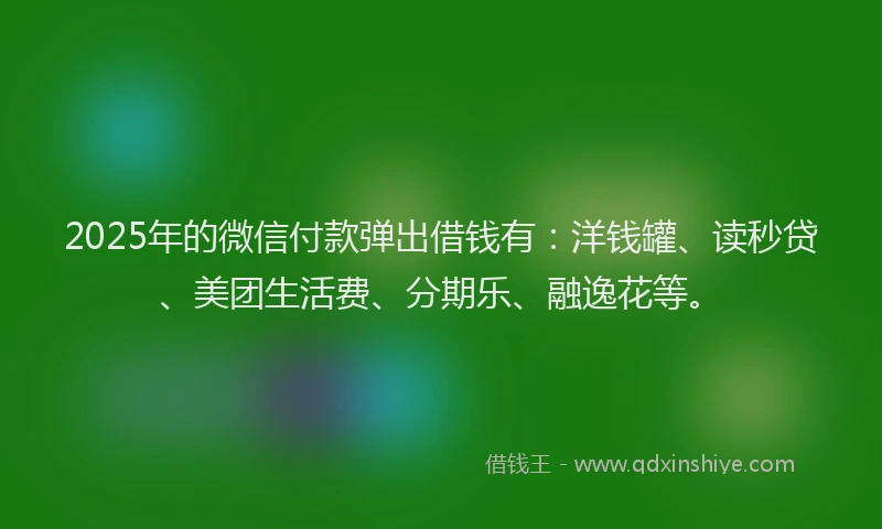 2025年的微信付款弹出借钱有：洋钱罐、读秒贷、美团生活费、分期乐、融逸花等。