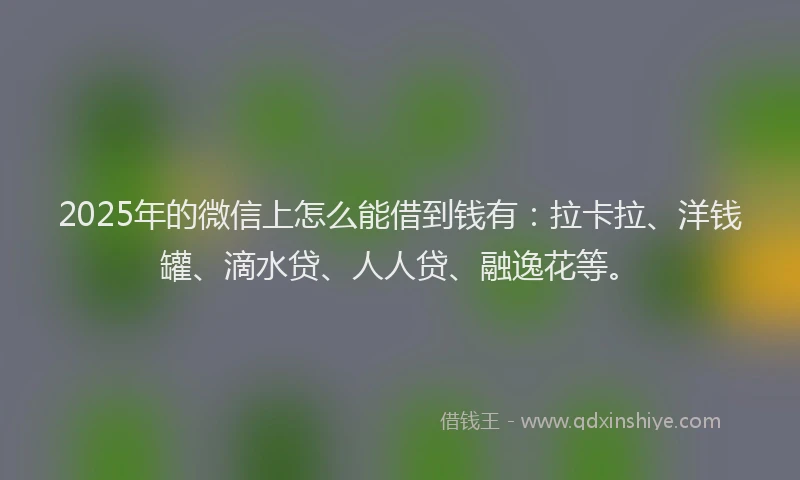 2025年的微信上怎么能借到钱有：拉卡拉、洋钱罐、滴水贷、人人贷、融逸花等。